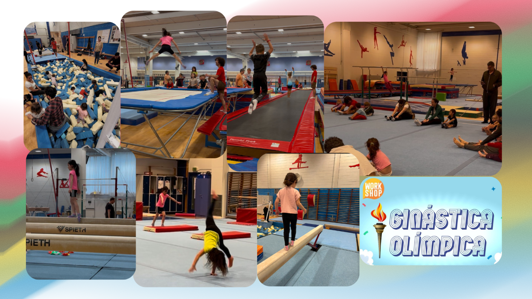 sitefundoginastica
